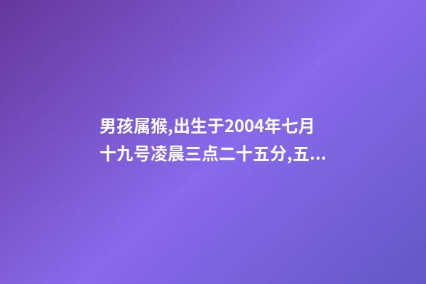男孩属猴,出生于2004年七月十九号凌晨三点二十五分,五行缺什么 2004年属猴时辰命运，2004年几点出生更好